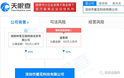 映客布局技術(shù)領(lǐng)域，成立深圳蜜花科技公司持股50%提供信息系統(tǒng)集成服務(wù)